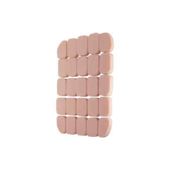 Spex Classic Back Support